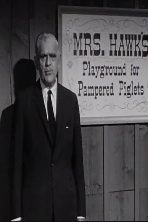 The Remarkable Mrs. Hawk poster