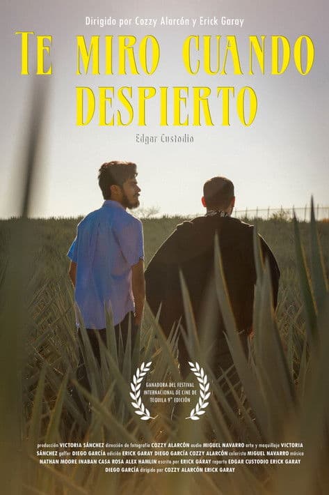 I see you when I wake up poster