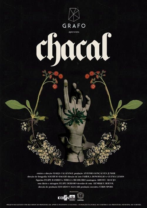Chacal poster