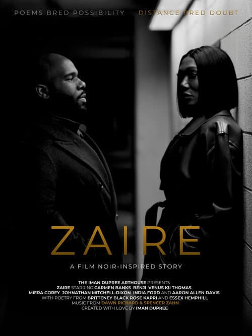 Zaire: A Film Noir-Inspired Story poster