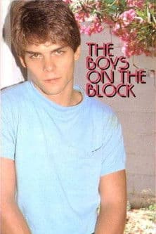 The Boys on the Block poster