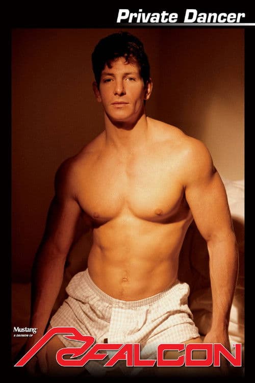 Private Dancer poster