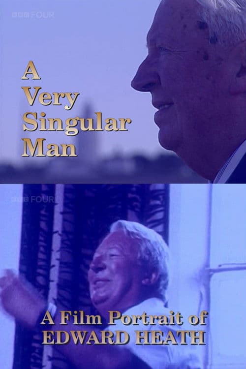 A Very Singular Man poster