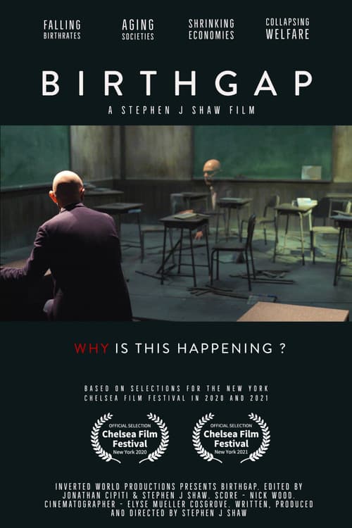 Birthgap - Childless World poster