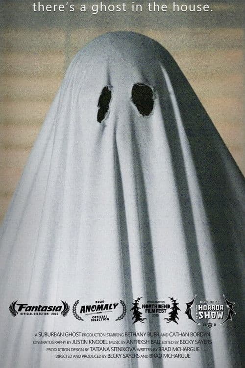 There's a Ghost in the House poster