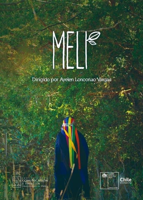 Meli poster