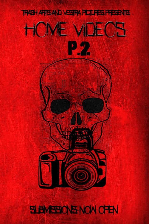 Home Videos 2 poster