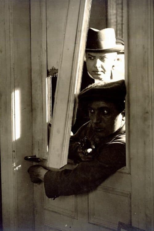 The Spider's Prey poster