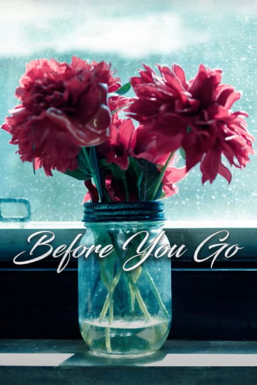 Before You Go poster