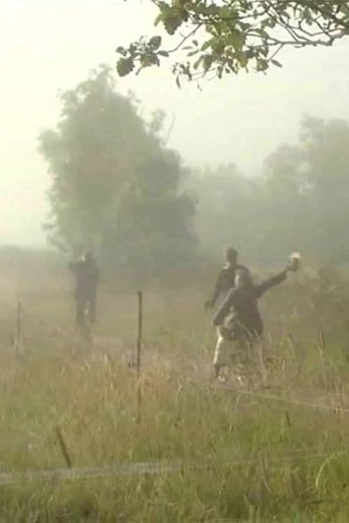 Playing with Fire poster