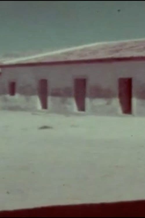 A Flor do Lácio é vadia poster