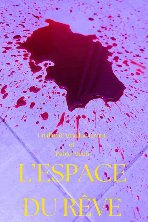 Room to dream poster