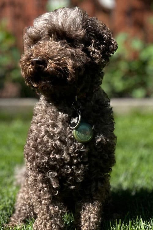 Andy Knight profile photo