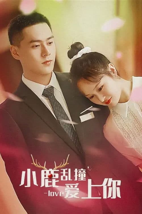 小鹿乱撞爱上你 poster