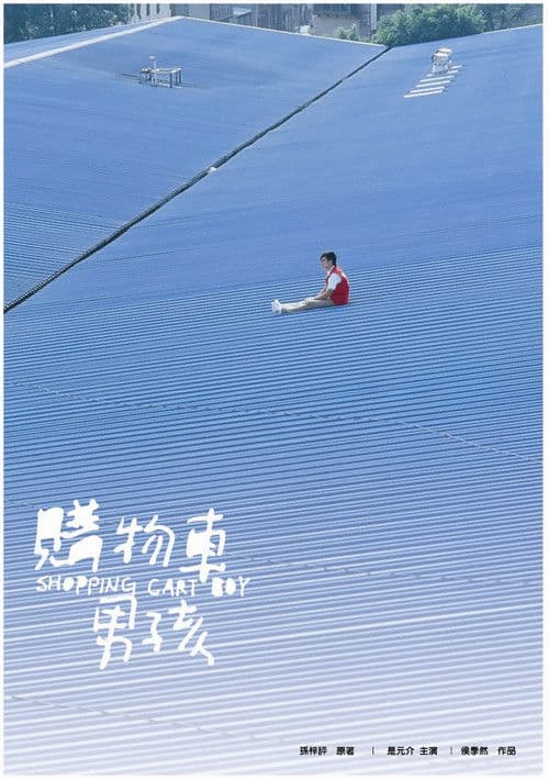Shopping Cart Boy poster
