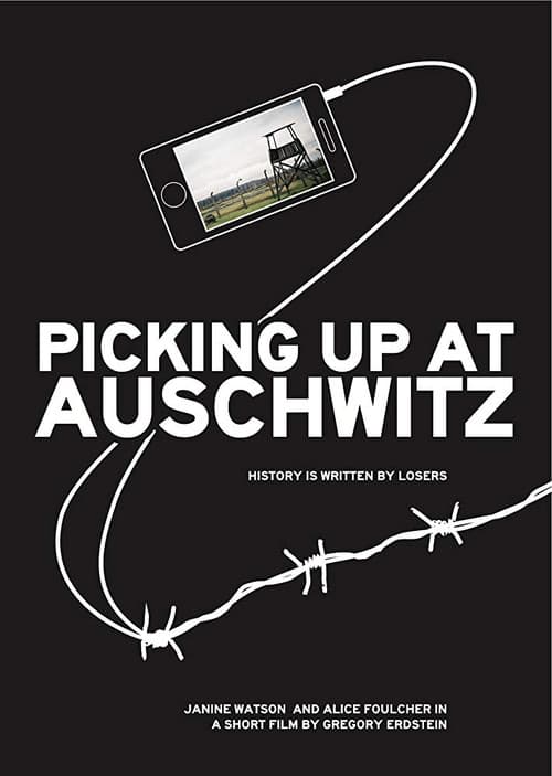 Picking Up at Auschwitz poster