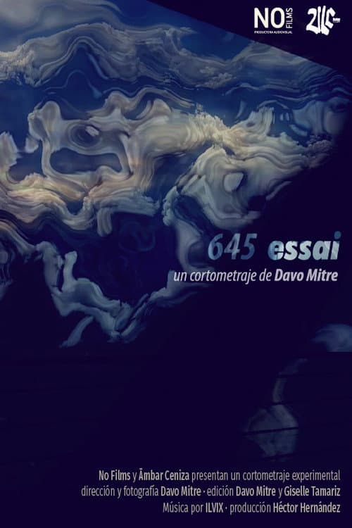645 essai poster