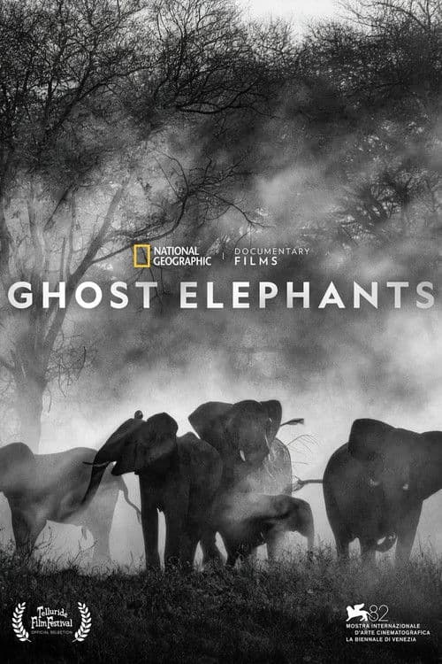 Ghost Elephants poster