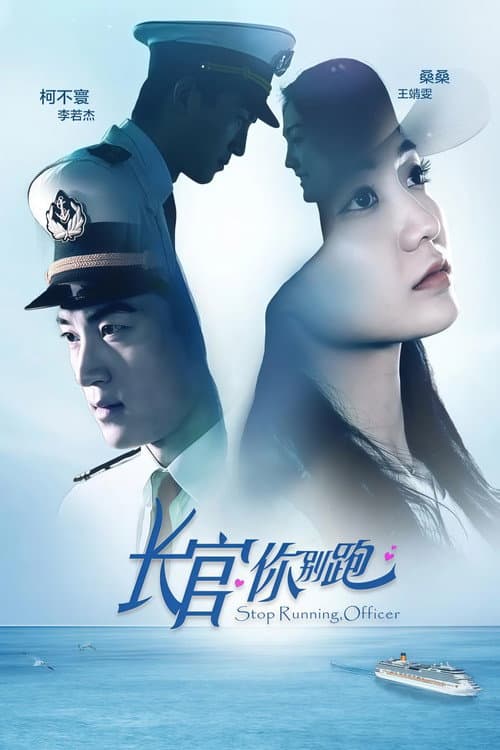 长官你别跑 poster