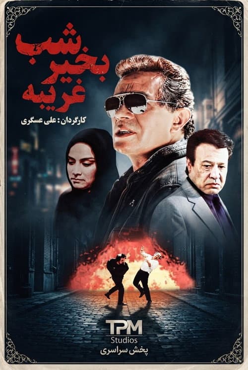 Good night stranger poster