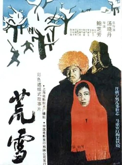 Snowy Wilderness poster