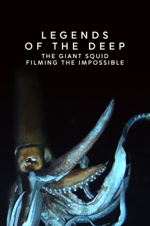 Legends of the Deep: The Giant Squid poster