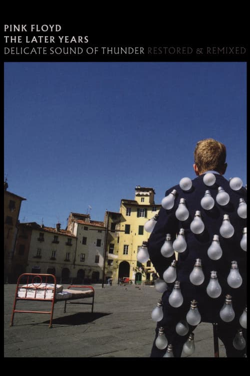 Pink Floyd: The Later Years, Vol 2 - Delicate Sound of Thunder poster