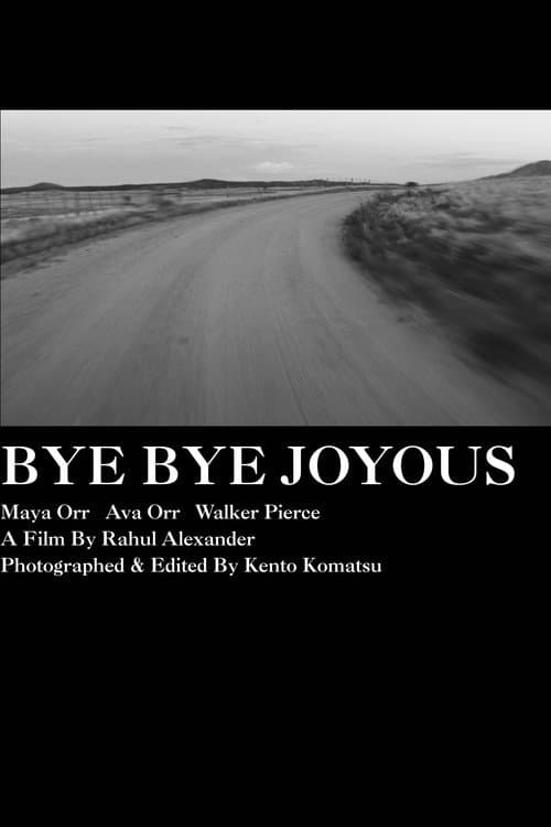 Bye Bye Joyous poster