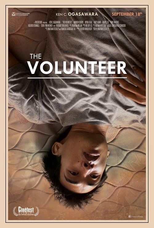 The Volunteer poster