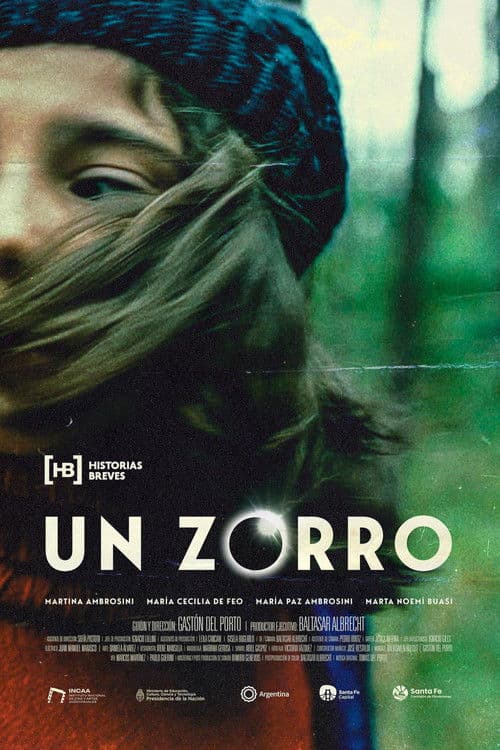 Un zorro poster