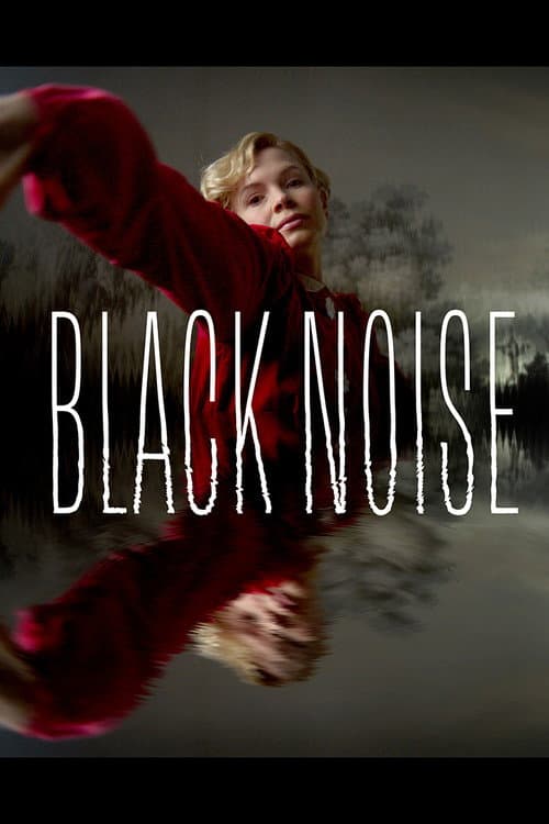 Black Noise poster