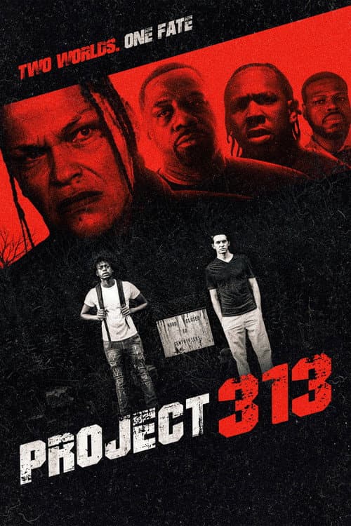 Project 313 poster