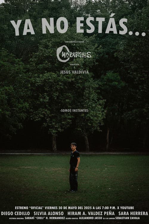 Ya No Estás... poster