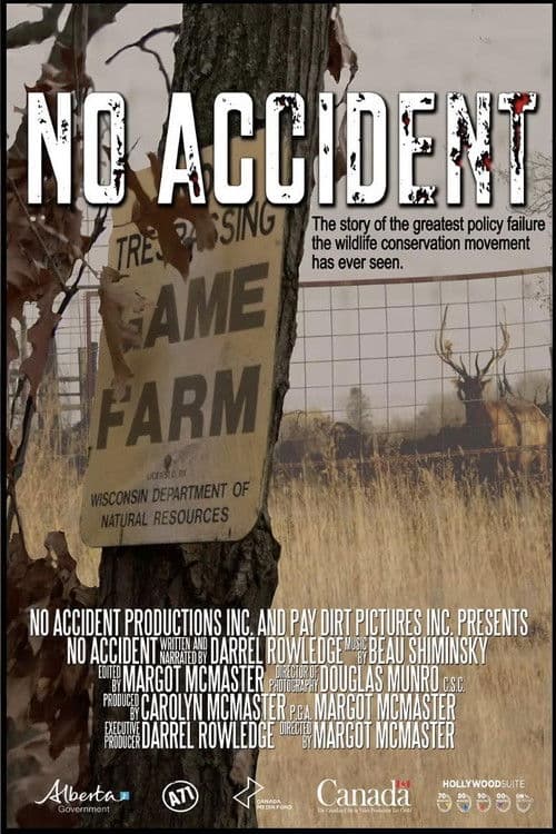 No Accident poster