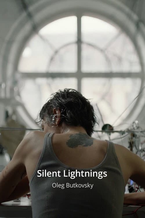 Silent Lightnings poster