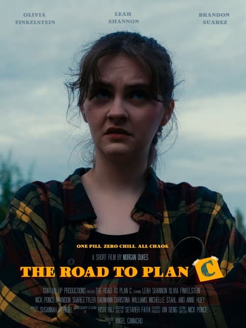 The Road to Plan C poster
