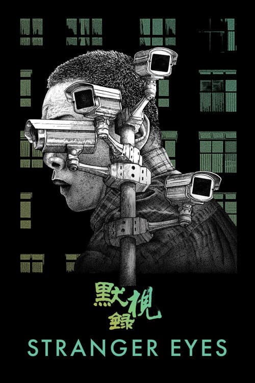 Stranger Eyes poster