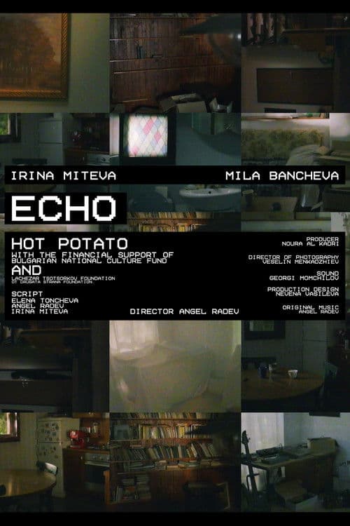 ECHO poster