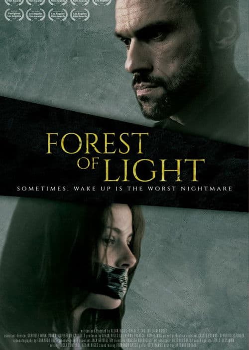 Floresta da luz poster