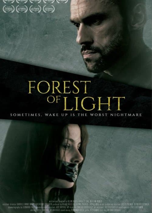 Floresta da luz poster