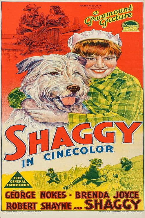 Shaggy poster