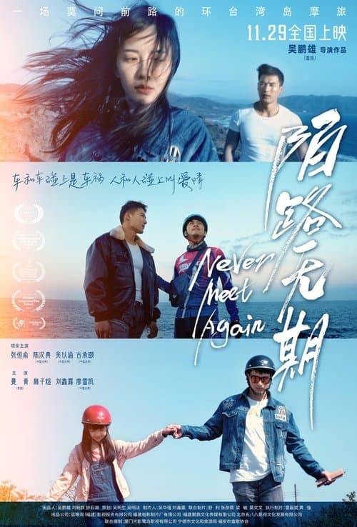 Never Meet Again poster