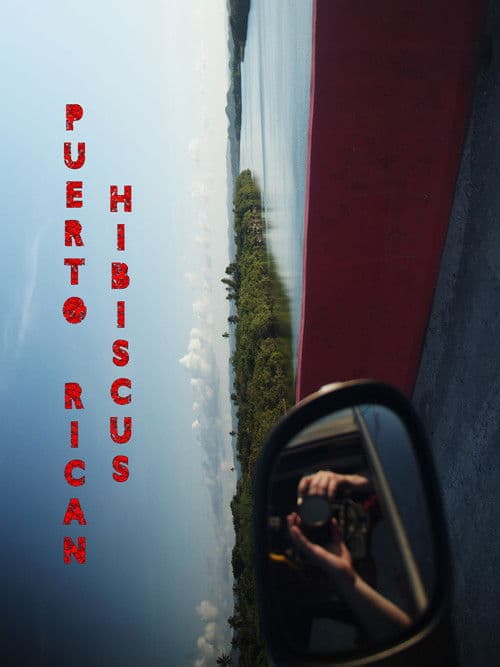 Puerto Rican Hibiscus poster