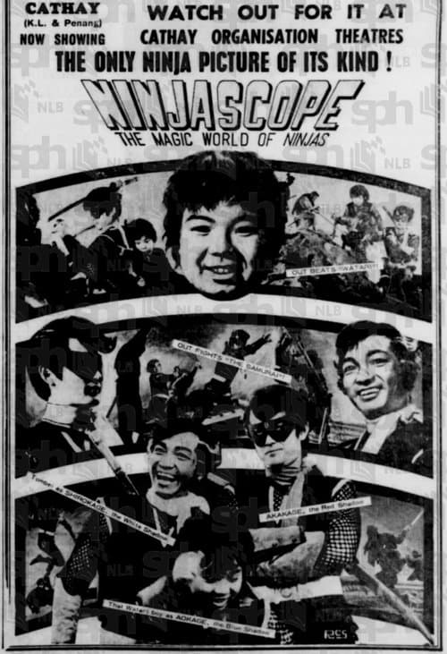 Ninjascope: The Magic World of Ninjas poster