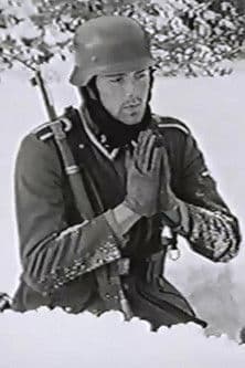 Nick Devine profile photo