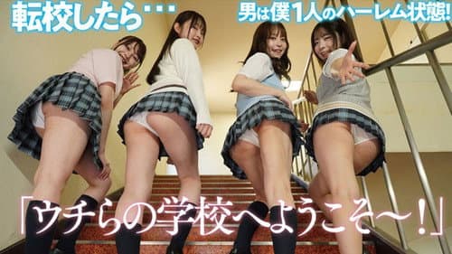 PFES-101 Panty-Flashing Harem Academy: I'm the Only Guy!? Seductive Panty-Flashing Sex with All the Girls in My Class! poster