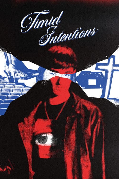 Timid Intentions poster