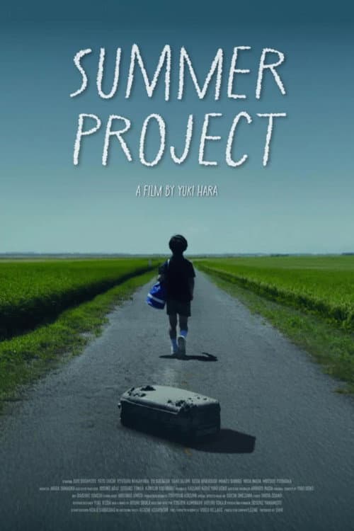 Summer Project poster
