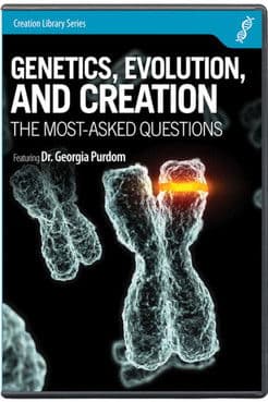 Genetics, Evolution, and Creation poster