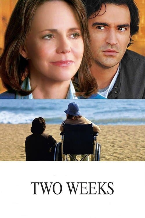 Two Weeks poster